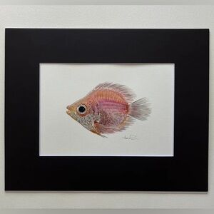 Original Watercolor Cute Tropical Fish Painting by me (Shannon Perrie/Perrie…